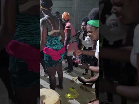 Raiz de brianda 2021