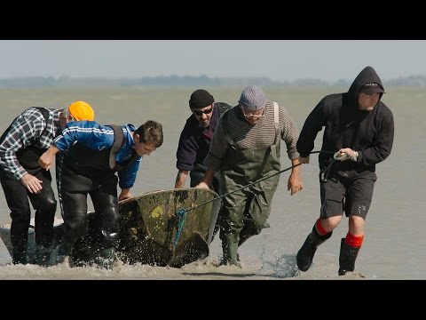 Pātiki - Ngāi Tahu Mahinga Kai