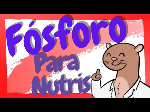 What is Phosphorus? / Phosphorus in Nutrition