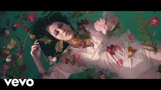 Video Flores y Vino de Bely Basarte