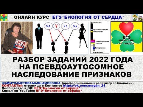 ПСЕВДОАУТОСОМНОЕ НАСЛЕДОВАНИЕ ГЕНОВ. РАЗБОР ЗАДАНИЙ 2022 ГОДА