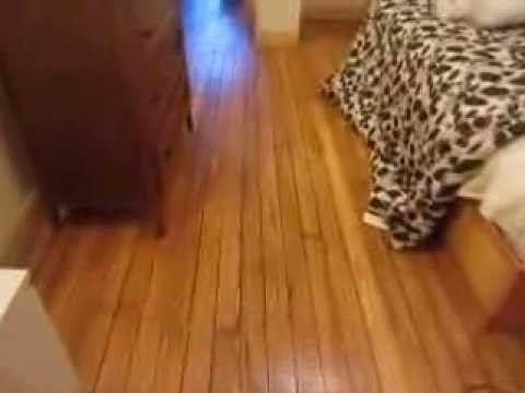 2 bedrooms+home office furnished apartment $2,600/month