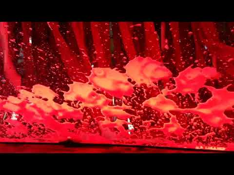 Tommy Tunnel w/ Protovest Dryers - One Stop Car Wash, Flagstaff, AZ