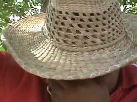 COQUITO NO TUVO CULPA - JESUS DANIEL QUINTERO EL TIGRITO DE MATANEGRA