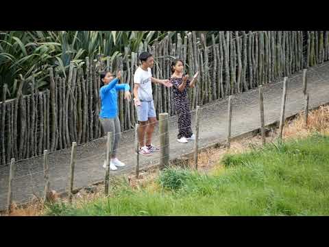 AJ Nazarene & sisters - "Here I Am to Worship" cover