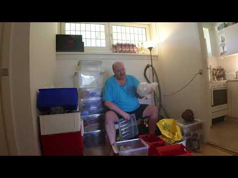 MongoTV_6236 - Kigger På Flyttekasser i Forstue Stået 7 År - Del 50 - Hedebølge - Smider Ting UD