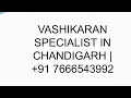 VASHIKARAN SPECIALIST IN CHANDIGARH | +91 7666543992