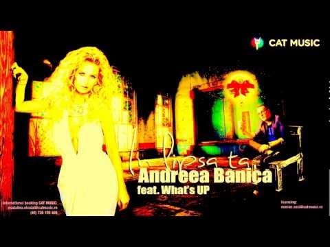 Andreea Banica feat. What's Up - In lipsa ta (Official Single)