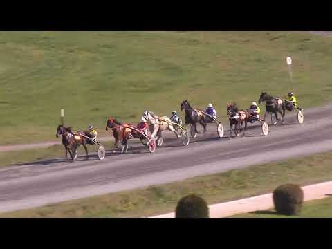 5. dostih - Velká dubnová cena hl města Prahy SD - Velká dubnová cena a Trotteur Francais II 2019