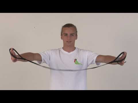 FUNDAMENTAL EXERCISE