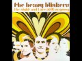 The Heavy Blinkers - The Night And I Are Still Young