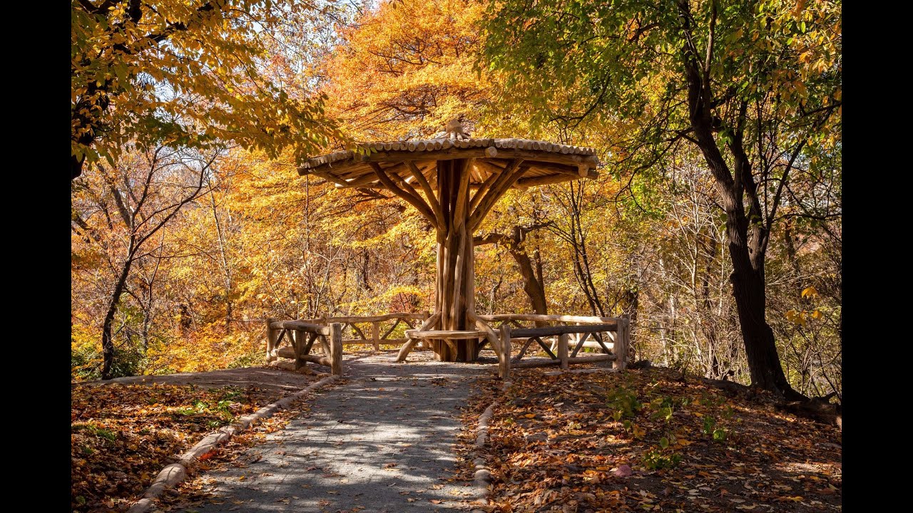 Reconstructing the Ramble's Rustic Structures