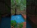 This Is Kerala And This Is Monsoon Nature Shorts
