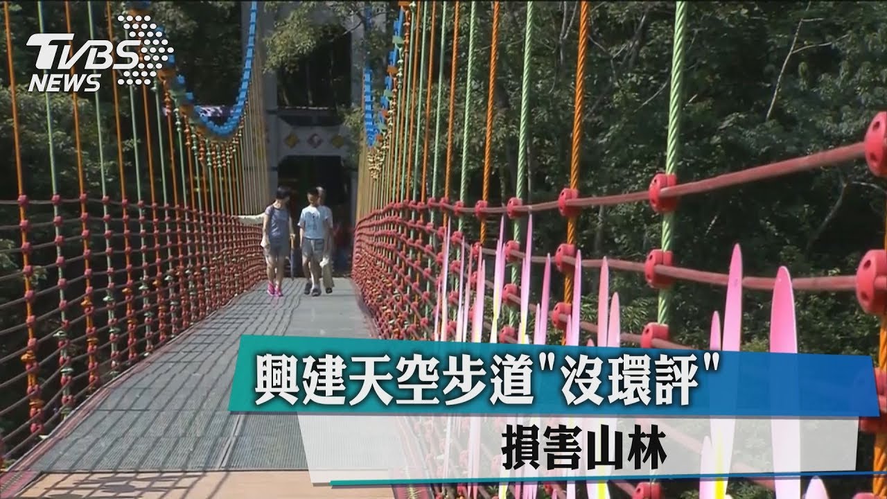 興建天空步道「沒環評」 損害山林