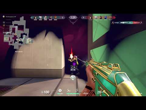 twarda bania zaciśnięte pięści