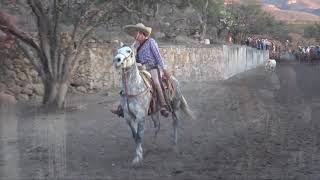 Coleadero en el Refugio, Colotln 2018.