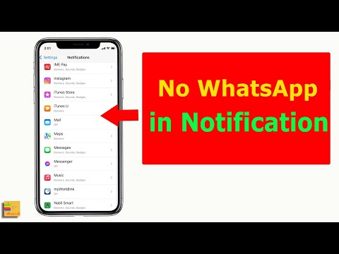 WhatsApp Not Showing in Notification List on iPhone | WhatsApp Notification Not Showing on Screen