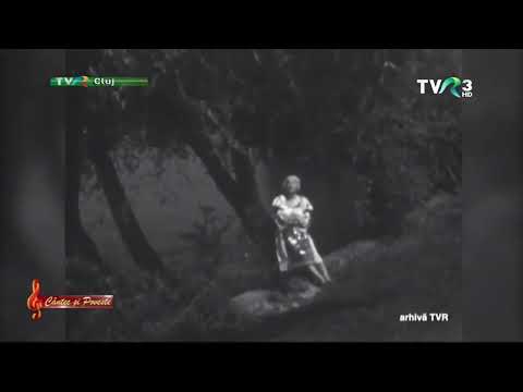 Ana Pop Corondan - Badea cu ochii de mure