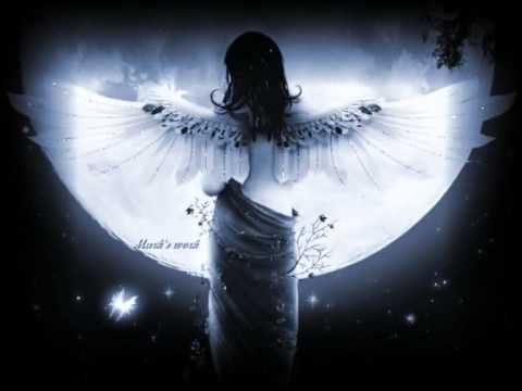 ICAROS. HOMENAJE A LA AYAHUASCA. HILARIO CHIRIAP (CURANDERO SUHAR)