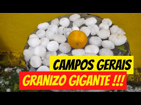 Surpreendente temporal de granizo nos Campos Gerais  ⛈️