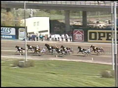 Fyraåringseliten 1987 - Ata Star L & Thackeray  'Dead Heat'