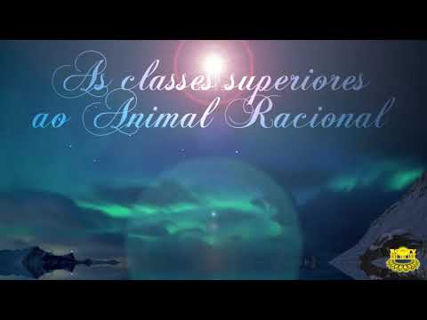 RCTV - As classes superiores ao Animal Racional