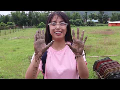 Planting Trees on account of Van Mahotsav || Go Green Group || Shan Explore