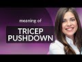 Tricep Pushdown Mastering Gym Vocabulary