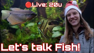 LIVE: 20u Laatste stream 2022! Jullie vragen! //Nickey//