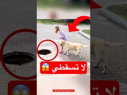 بنت صغيرة وكلبها أنقذوا الناس!#shorts #shortvideo #shortsfeed #اسلاميات