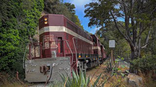 Roaring Camp 7/27/22 - Mount Hermon Special [4K]