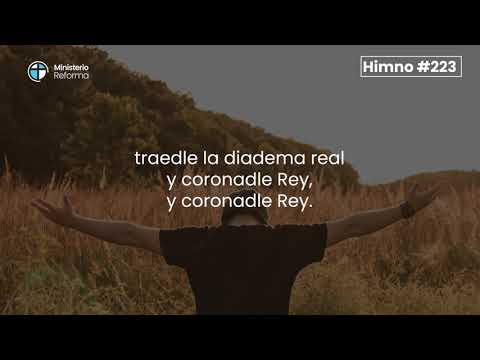 HIMNO #223 - ELEVEN HOY AL SALVADOR