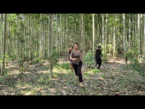 Full video 120 days and the ending of a single woman leaving the city to return to the countryside.