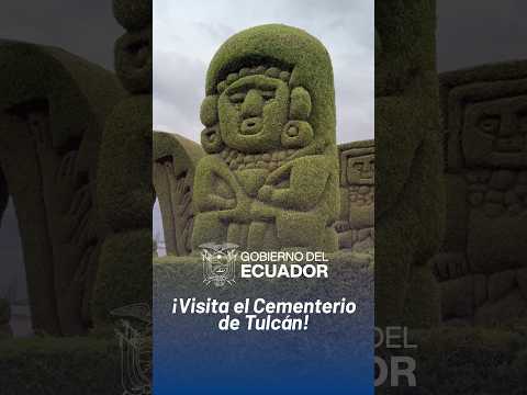 🌿 ¡Un lugar donde el arte cobra vida! 🇪🇨