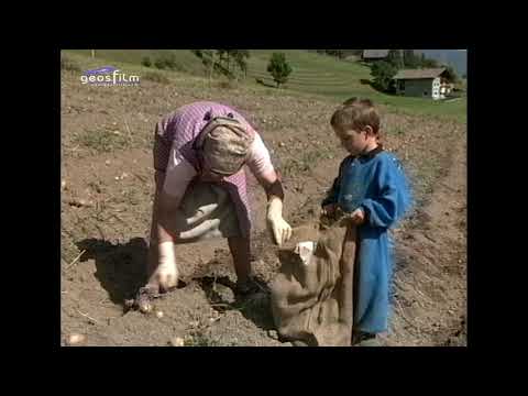 Meine Heimat mein Leben in Südtirol von geosfilm