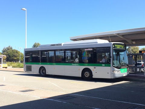Transperth TP 0118 Mercedes Benz OC500LE CNG MIDI ZF Kickdown