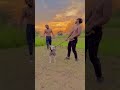 Bully Dog Fire Isne To Dara Diya Fitness Shorts Motivation