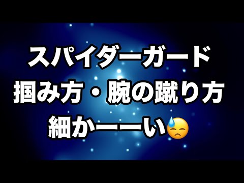 【しんすけ先生】スパイダーガード 掴み方・腕の蹴り方 細かーい