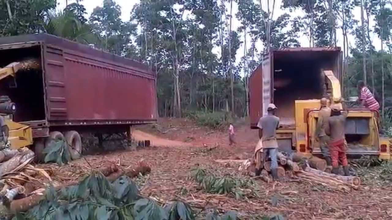 Chipeado de madera con maquinas
en series. Republica Dominicana