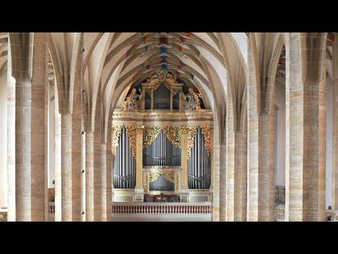 Johann Sebastian Bach – „Toccata d-Moll“⎜Albrecht Koch an der Silbermann-Orgel im Freiberger Dom