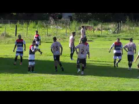 Newell's 3  vs calamar 2