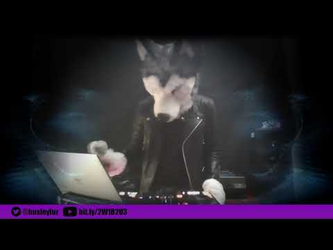 Huxley Fursuit DJ Set 2020-10-14