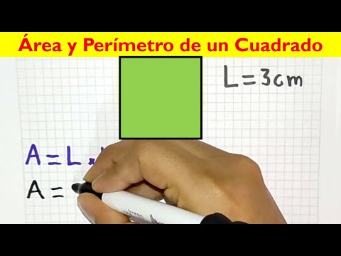 How to find the area and perimeter of a square