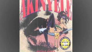 Akinyele - Beat (Large Pro interlude/instrumental)