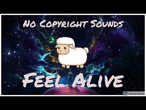 More Plastic x hayve - Feel Alive | No copyright music