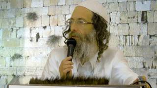 הרב אלימלך בידרמן - לתפילה שלך יש כח עצום! HD
