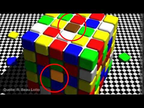 Trügerischer Schatten täuscht Gehirn - Optische Illusion der Woche