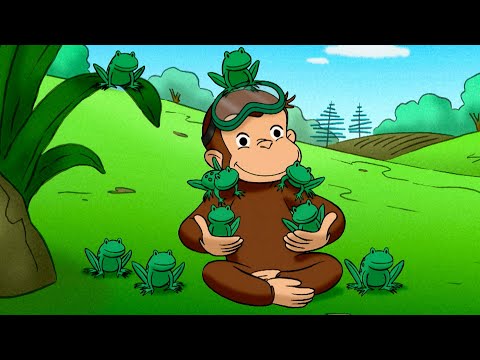 George poznaje żaby | Ciekawski George | Bajki Po Polsku