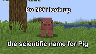 When the Minecraft is sus again