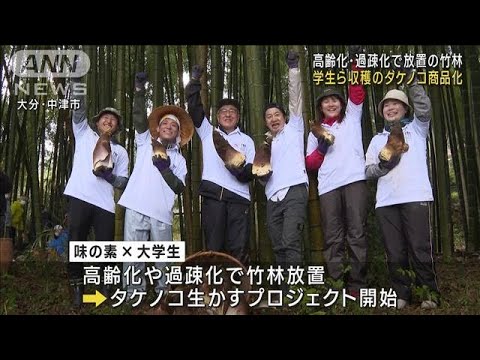 Bosque de bambú abandonado debido al envejecimiento y la despoblación: los estudiantes comercializan los brotes de bambú recolectados (8 de junio de 2023)